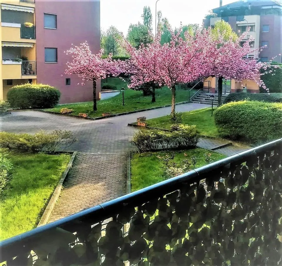 Curiel Apartment Rozzano
